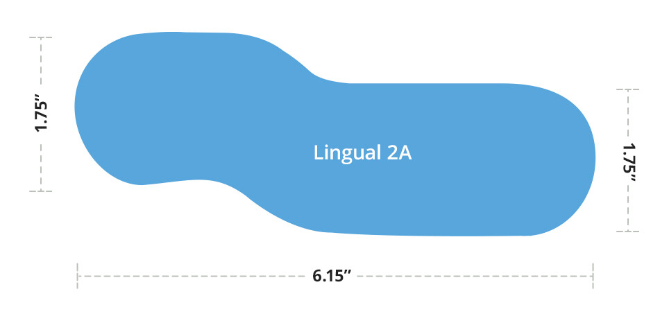 Lingual 2A mirror